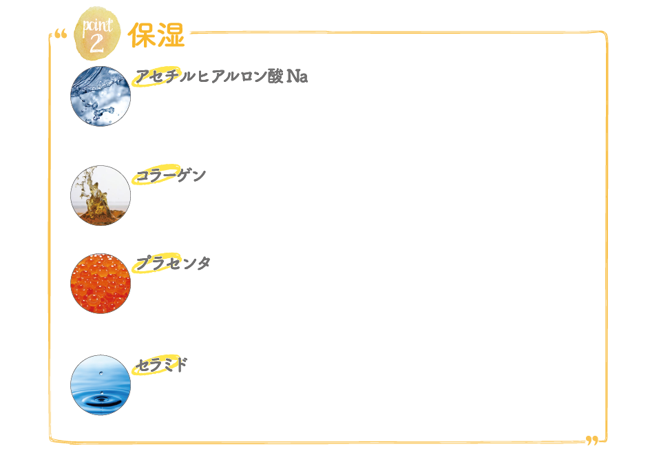 保湿 アセチルヒアルロン酸Na コラーゲン プラセンタ セラミド