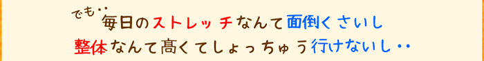 でも・・毎日のストレッチなんて面倒くさいし 整体になんて高くてしょっちゅう行けないし・・